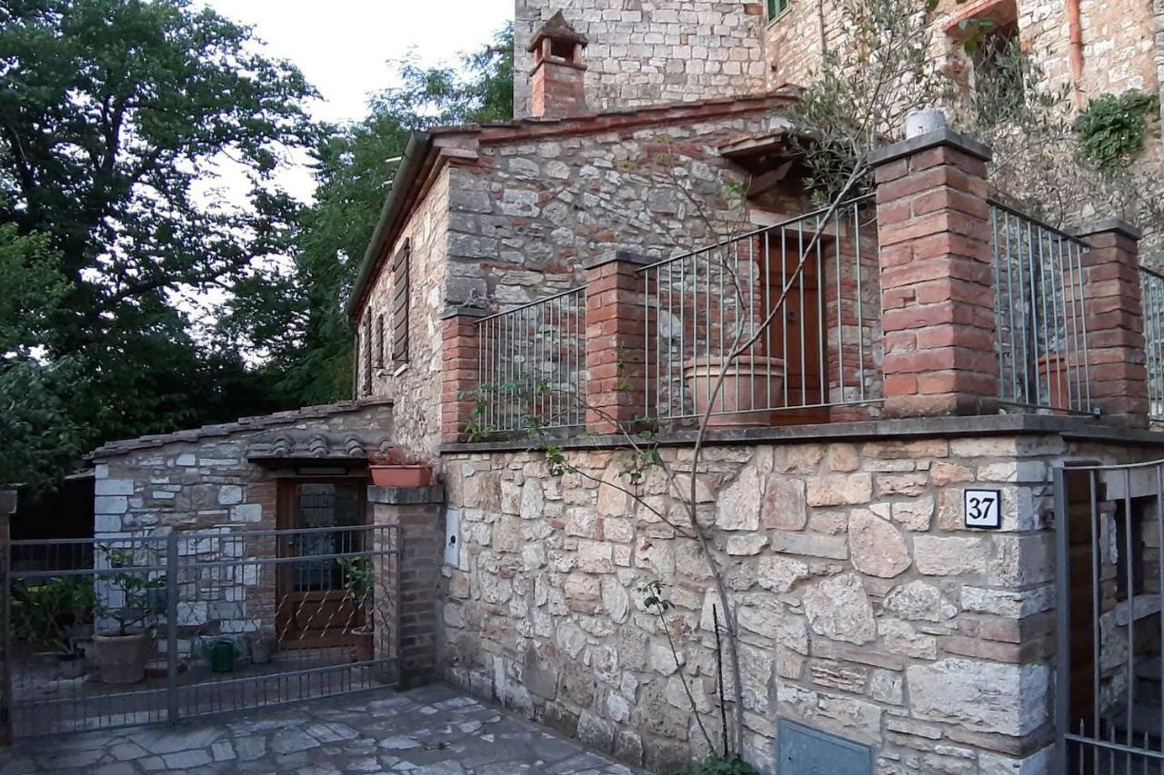 Casapaf Apartment Serre Di Rapolano Exterior photo