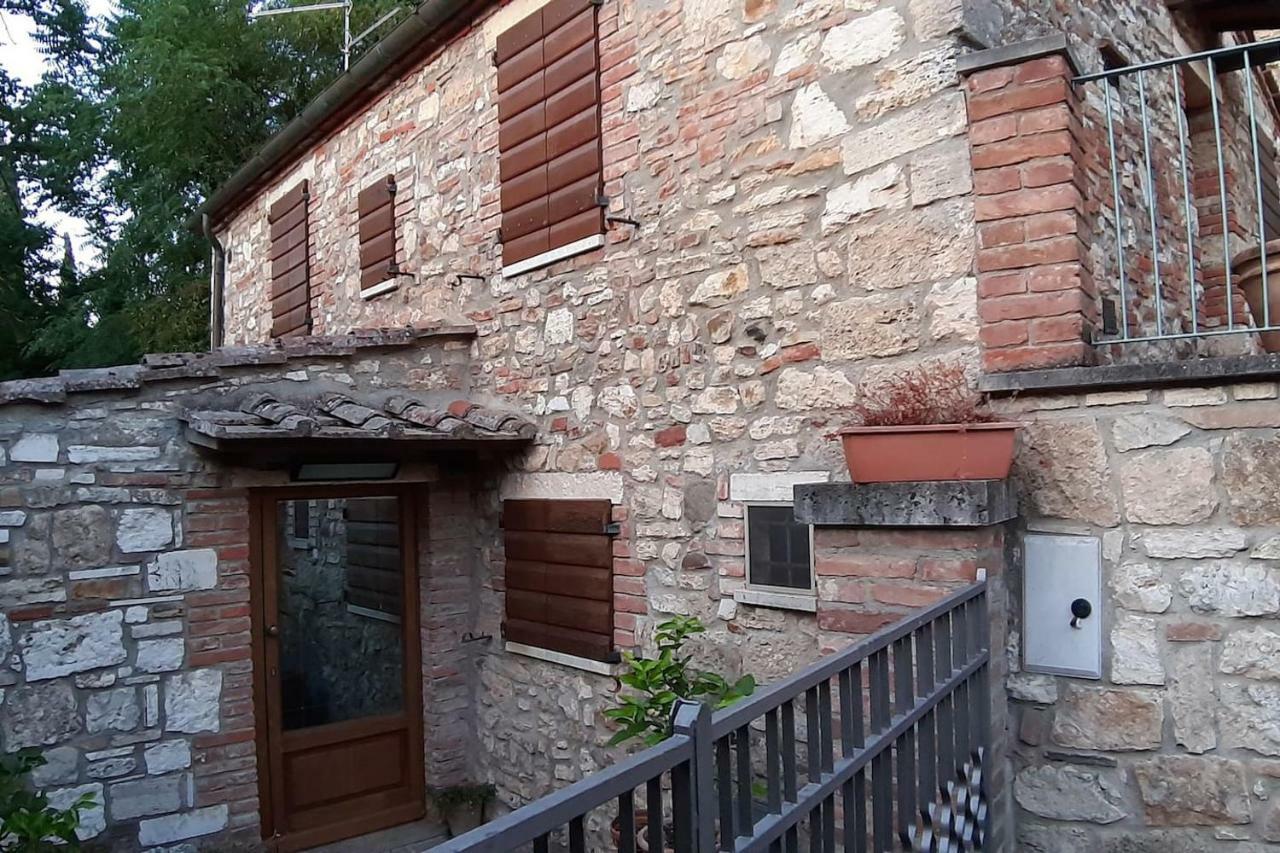Casapaf Apartment Serre Di Rapolano Exterior photo